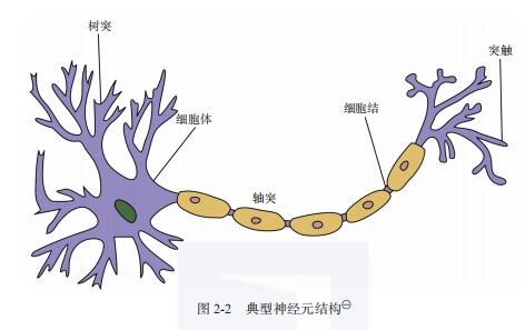 2.1 神经元