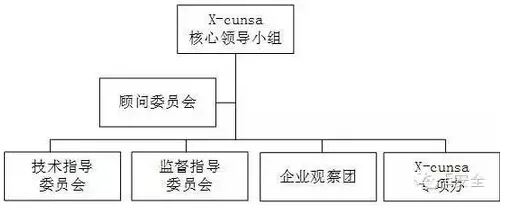 全国高校网络空间安全联赛(X-cunsa)正式启动