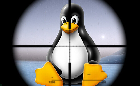Rekoobe：一款针对Linux的恶意软件