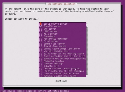 Ubuntu Linux的不同安装类型:服务器vs桌面