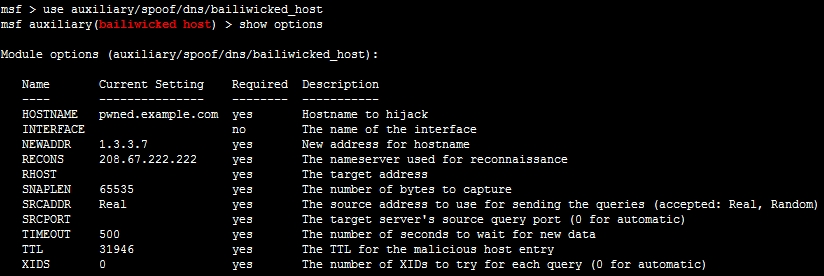 Kali Linux（二）渗透案例：DNS Kaminsky缓存投毒_DNS_02