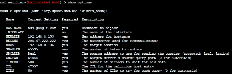 Kali Linux（二）渗透案例：DNS Kaminsky缓存投毒_缓存投毒_03
