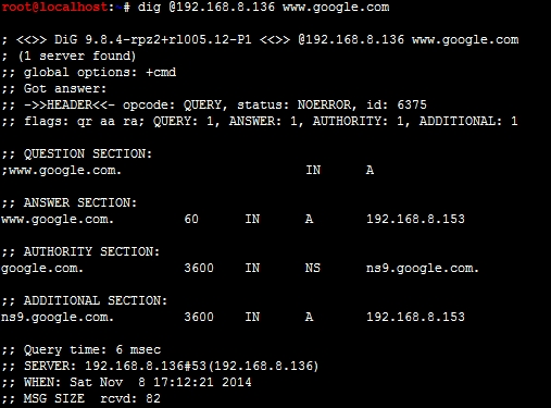 Kali Linux（二）渗透案例：DNS Kaminsky缓存投毒_DNS_06