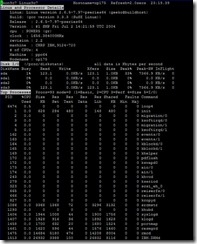 nmon_linux2.jpg