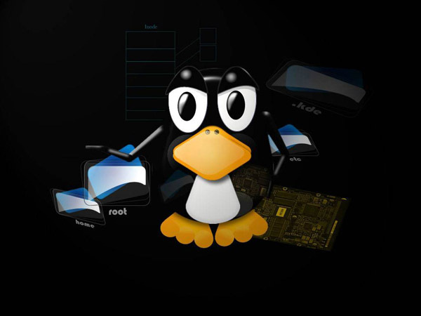 Linux服务器下LNMP安装与配置方法