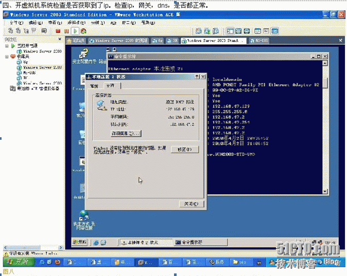 VMWare虚拟机 网络连接模式_网络连接_29