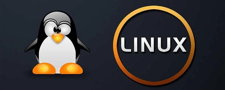 如何优雅地删除linux 中的垃圾文件 Mb5fd86cce321a9的技术博客 51cto博客