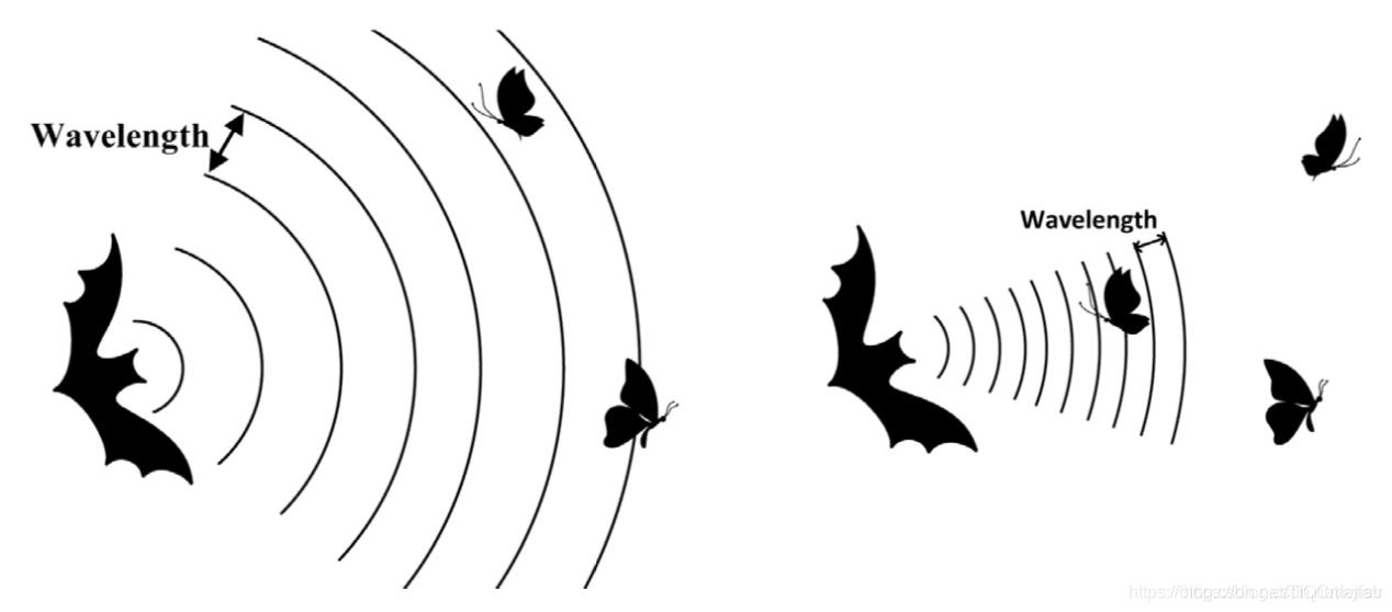 蝙蝠超声波原理图片