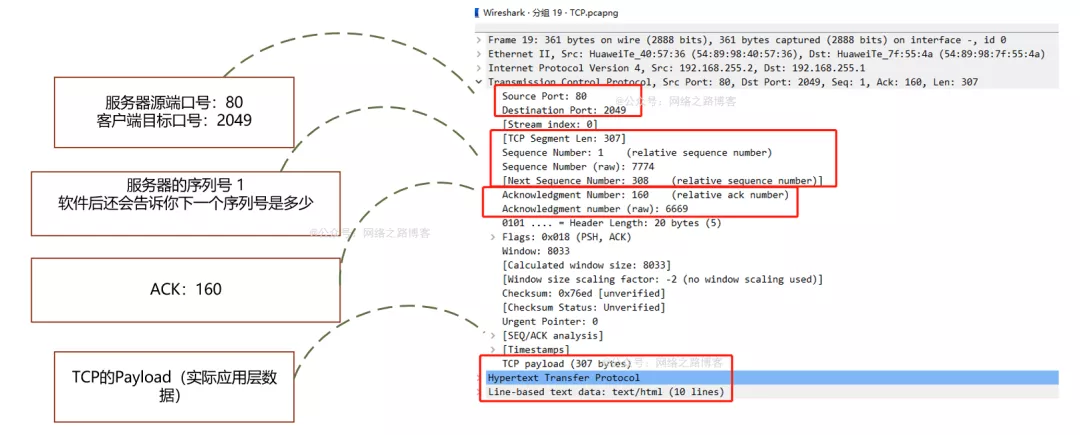 初识TCP，实验加抓包带你理解为什么需要三次握手、四次挥手_序列号_19
