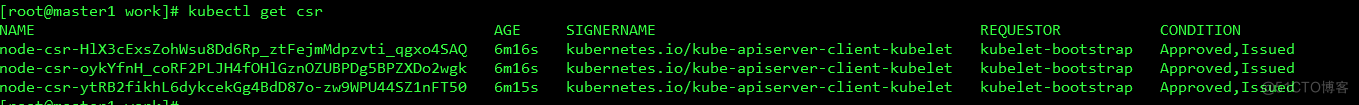 kubernetes二进制安装1.18版本_k8s_05