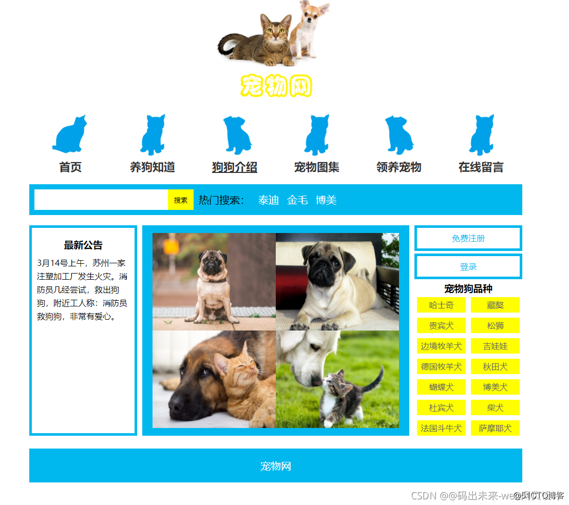 HTML5期末大作业：动物宠物主题网站设计——宠物网(8页)HTML+CSS+JavaScript 学生DW网页设计作业成品 web课程设计网页规划与设计 web学生网页设计作业源码..._html静态网页设计作业_06