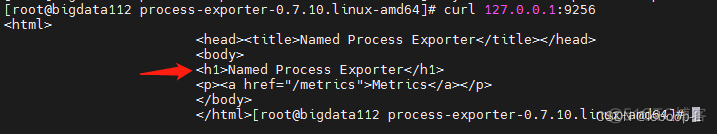 Prometheus+Process exporter+Grafana进程监控_process_07