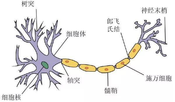 太形象了！什么是边缘计算？最有趣的解释没有之一！