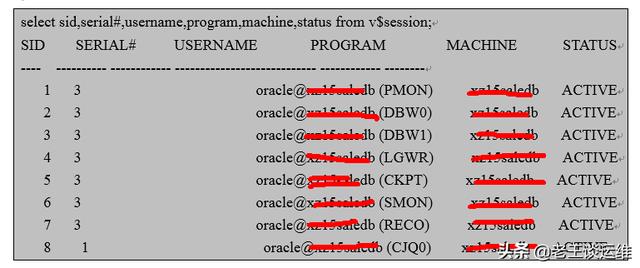 高效进行 Oracle 日常巡检——数据库性能与安全检查