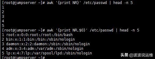 详解linux常见的几种awk处理文字数据用法