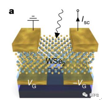 40纳秒完成图像分类，图像传感器自带神经网络登上Nature