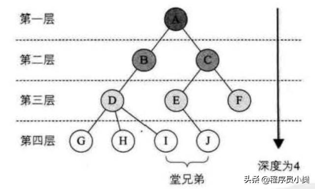 介绍常用的数据结构：数组，栈，链表，队列，树，图，堆，散列表
