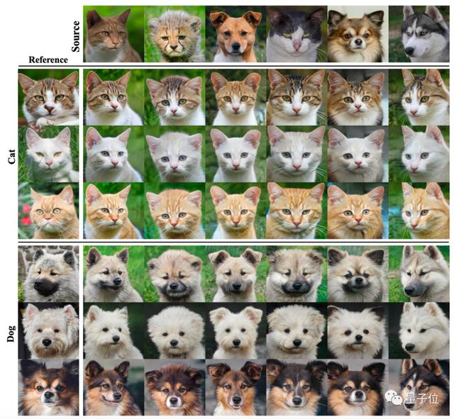 生成“猫狗版”特朗普，造假脸工具StarGANv2被玩坏，算法已开源