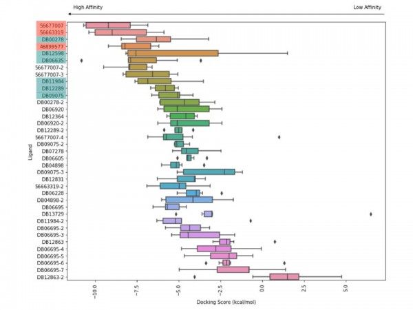 Charting potential drugs that could “fit” (″high affinity″) within TMPRSS2 along with their regulatory status.