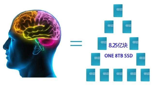 人类大脑相当于多少容量的硬盘？如果用完了难道会格式化？
