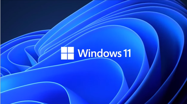 Windows 11预览版更新Build 22000.65：开始菜单搜索又变样了、修复海量BUG