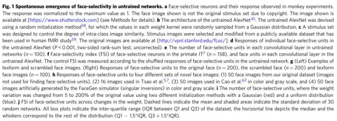 Nature子刊：未经训练的神经网络也可以进行人脸检测