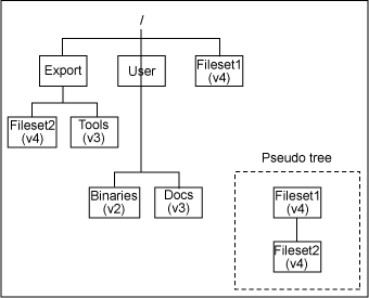 图 1. 服务器上的目录结构