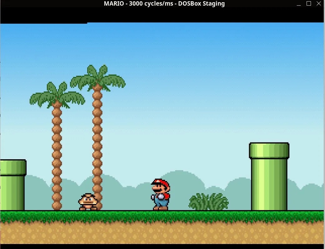 Mario running in DOSBox in Ubuntu