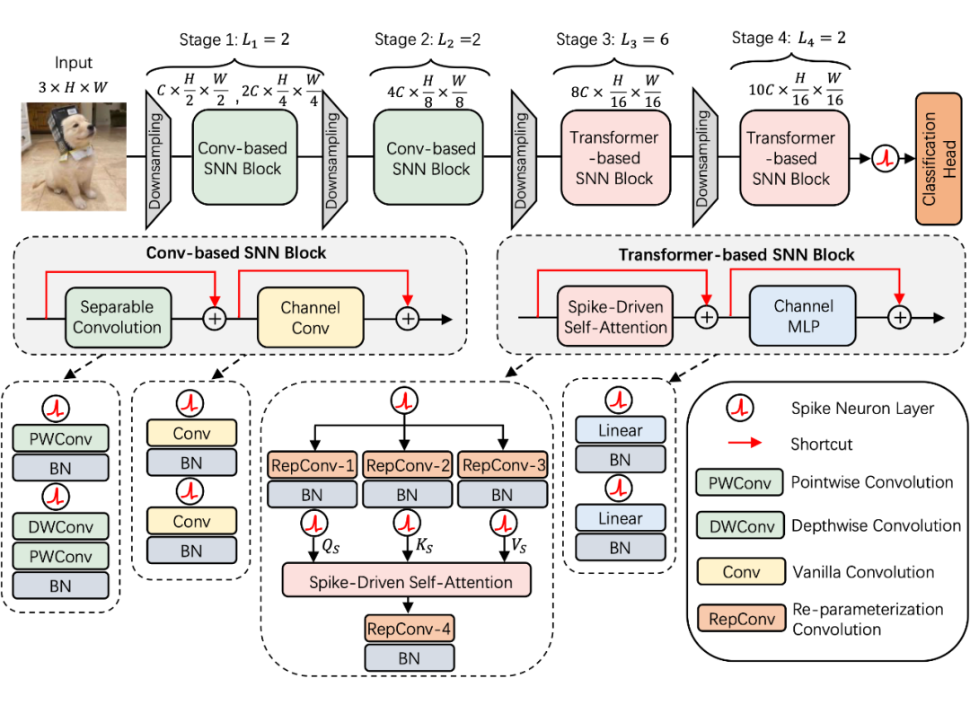 ICLR 2024 | 脉冲神经网络的meta架构设计：启发下一代神经形态芯片设计-AI.x社区