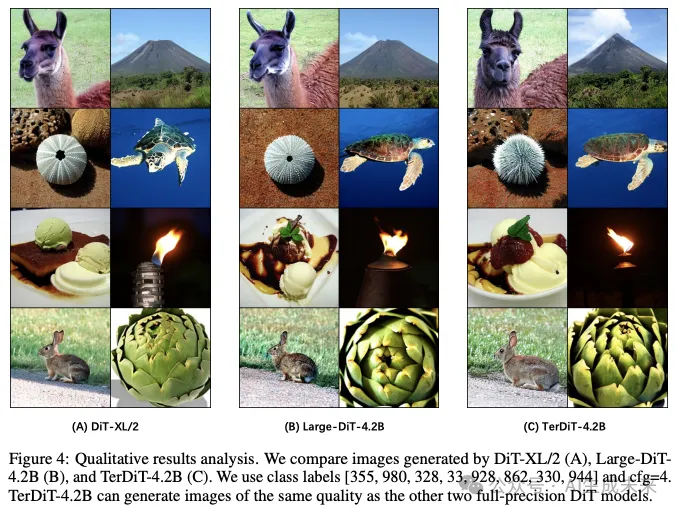 填补领域空白！TerDiT：首次探索大规模DiT模型量化问题-AI.x社区