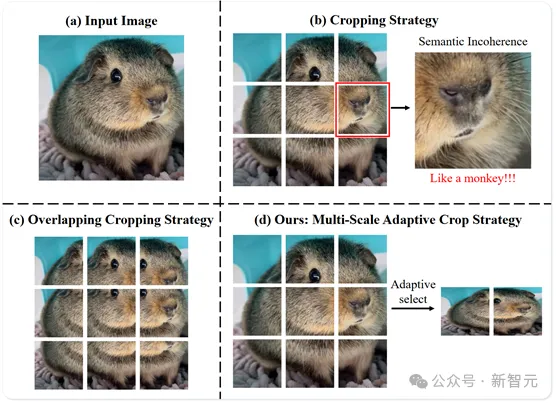 2B多模态新SOTA！华科、华南理工发布Mini-Monkey，专治「切分增大分辨率」后遗症-AI.x社区