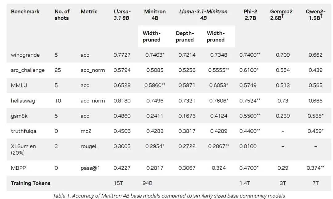 ViT篇外：NVIDIA Llama-3.1-Minitron 4B-AI.x社区