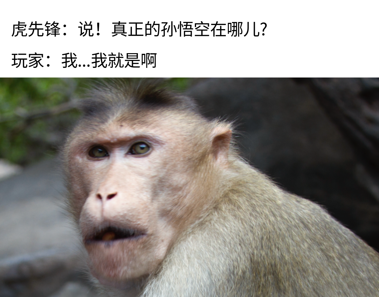 图1.png