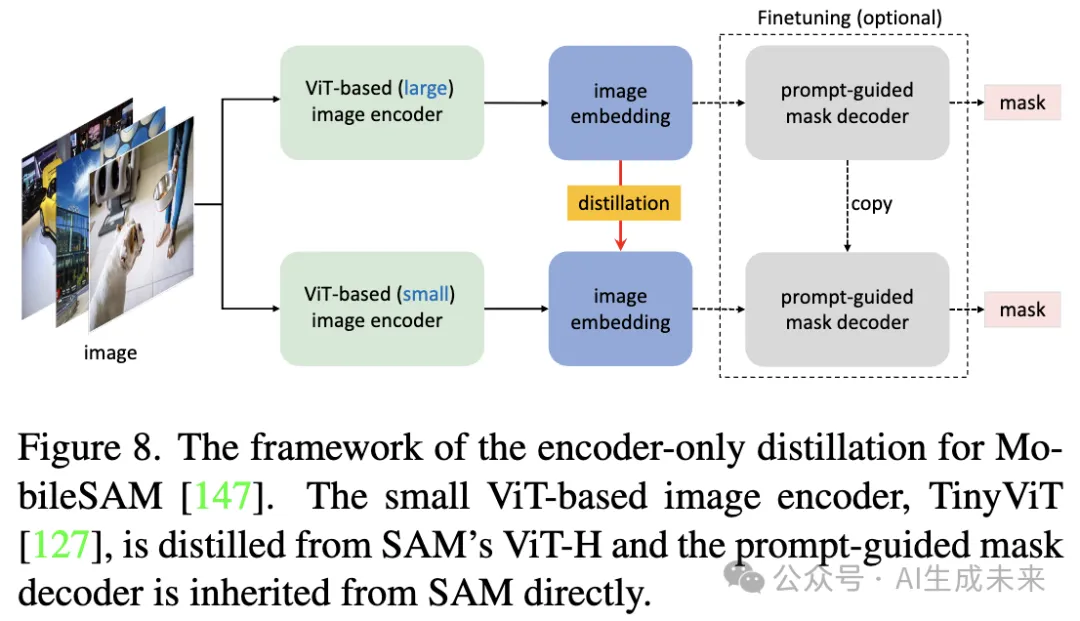 首篇！全面系统解读高效SAM变体：各种加速策略和核心技术展示-AI.x社区