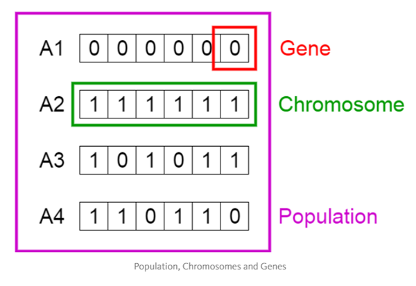 遗传算法的基本概念和实现（附 Java 实现案例）