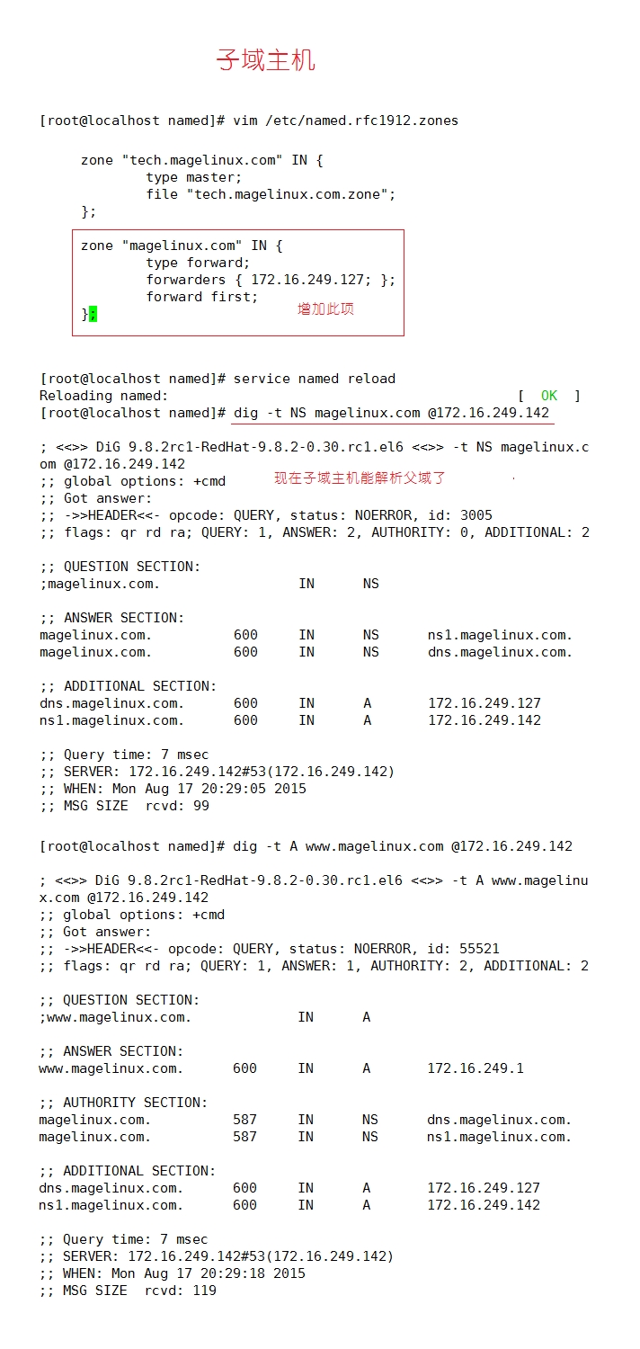 DNS子域授权