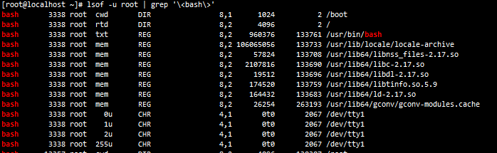 Linux入门之进程管理(4)之进程与文件